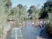 2004_10_Sacramento_02193.JPG