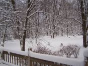 Filename=2007_01_Snowfall005.JPG
Filesize=154KB
Dimensions=800x600
Date added=Jan 22, 2007 2007_01_Snowfall005.JPG