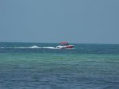2008_06_01_Key_West_012.jpg