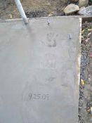 2009_09_25_Shed - 39.jpg